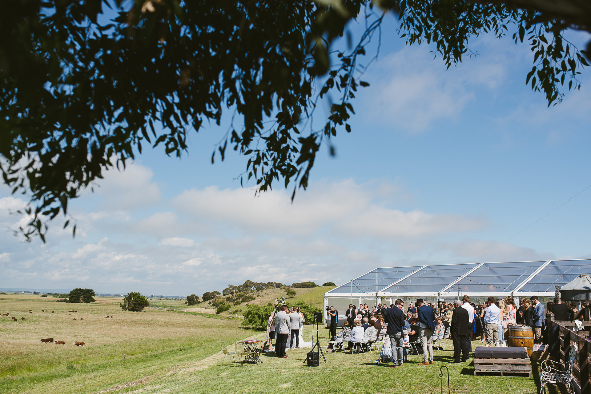 Farm Wedding Limestone Coast