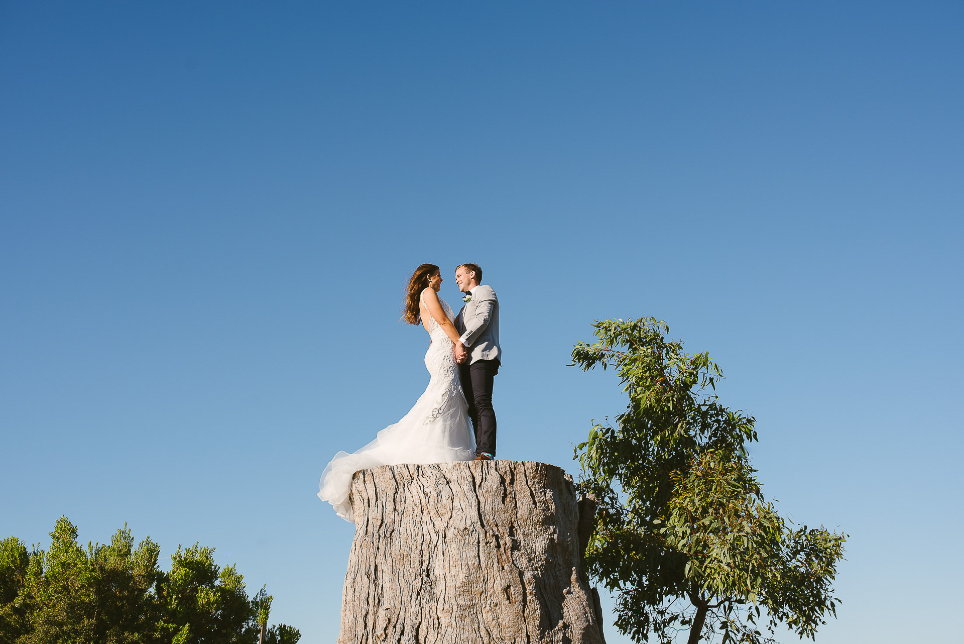 Farm Wedding Limestone Coast