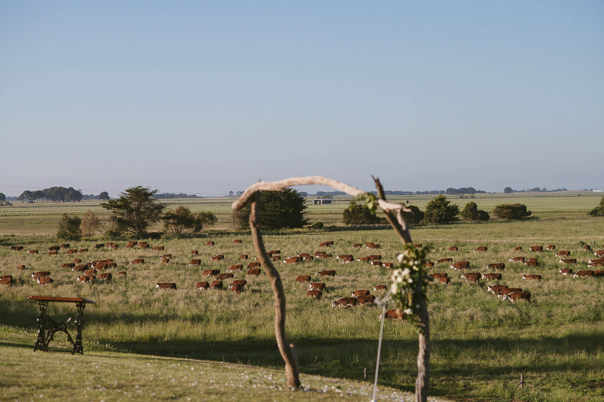 Farm Wedding Limestone Coast