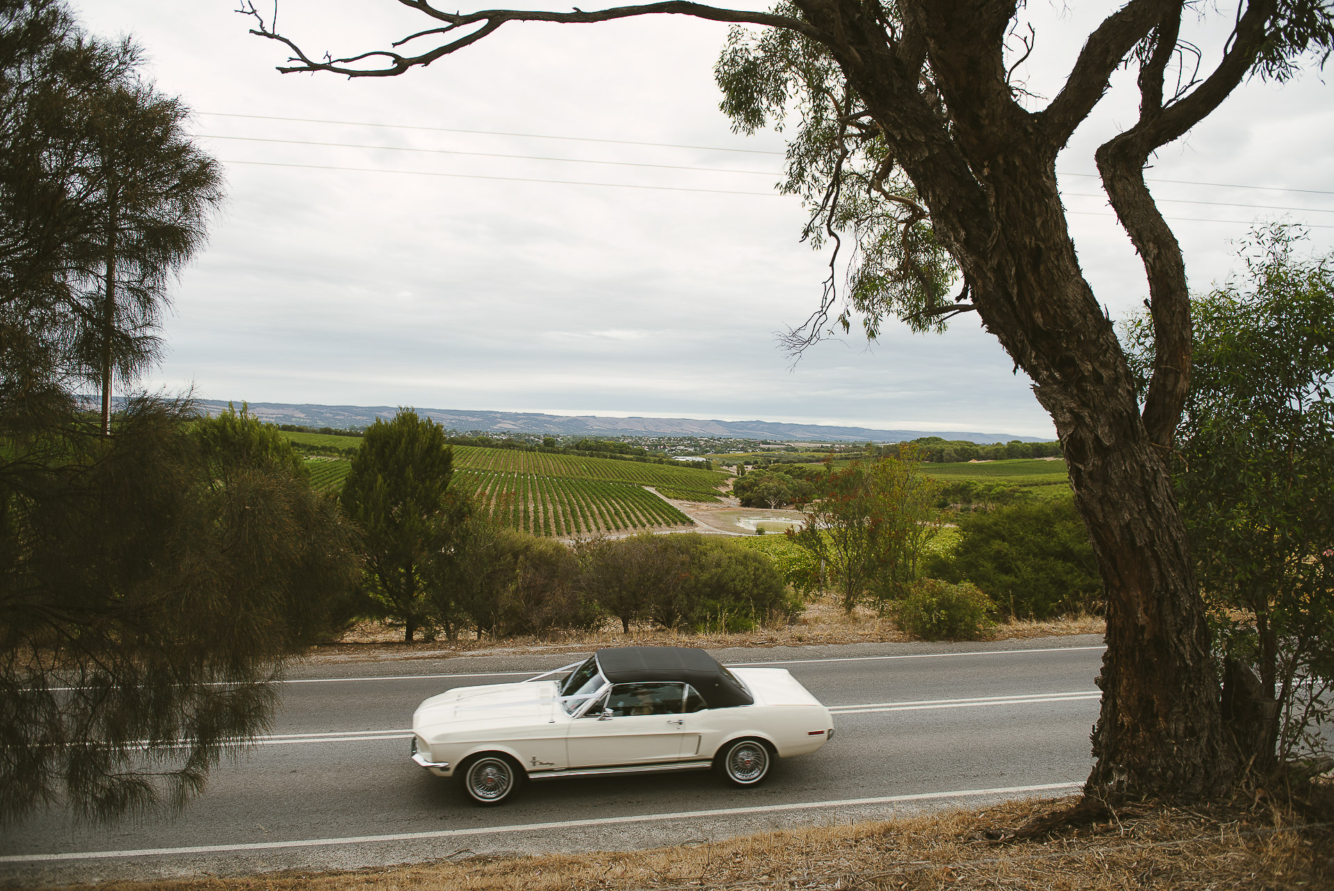 white mustang wedding car arriving with bride at beach road wines in mclaren vale