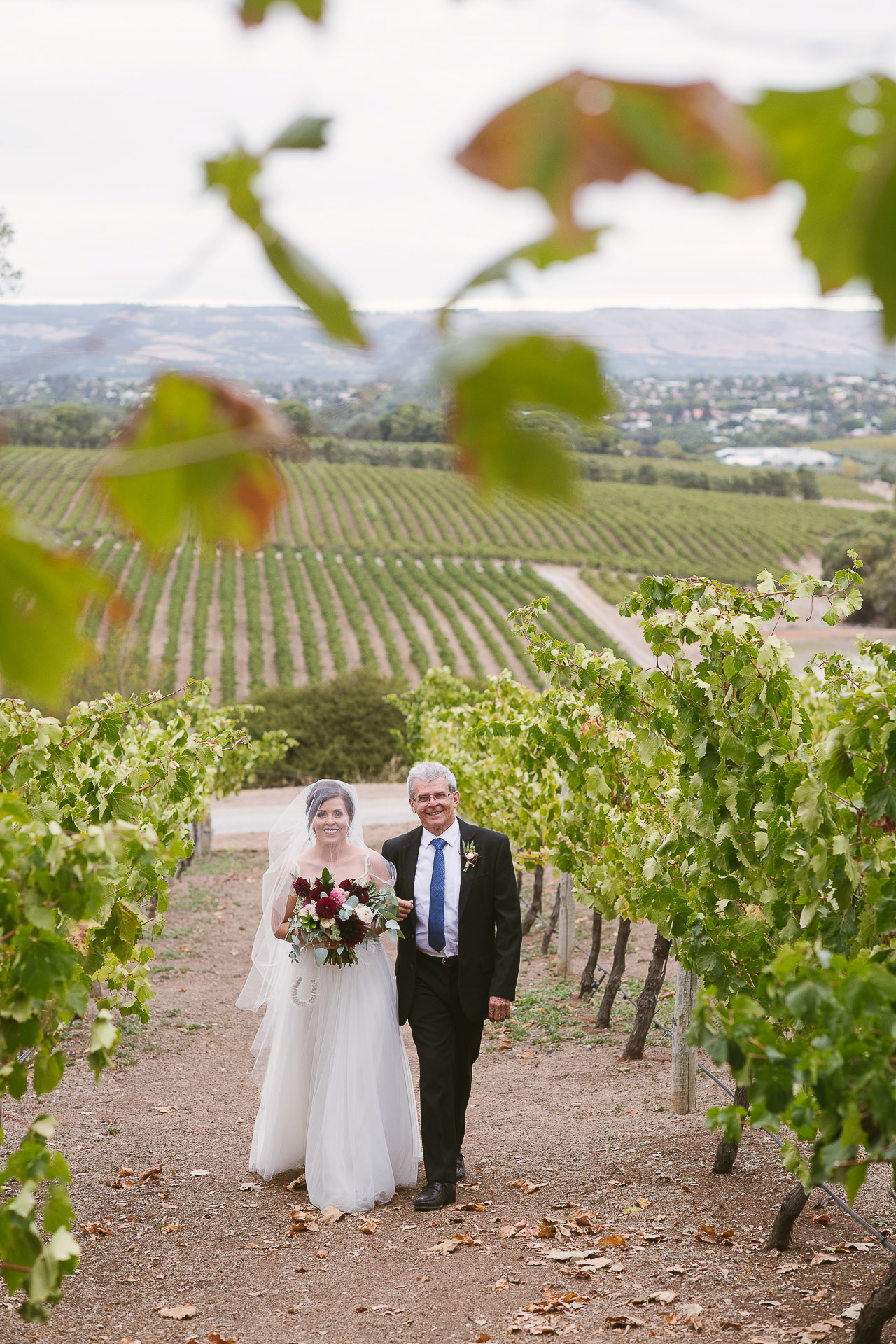 bride and father arrive between the vines at beach road wines wedding