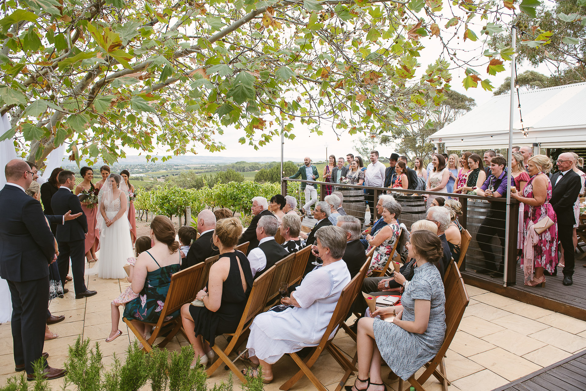 wedding ceremony underway under the maple tree at beach road wines wedding