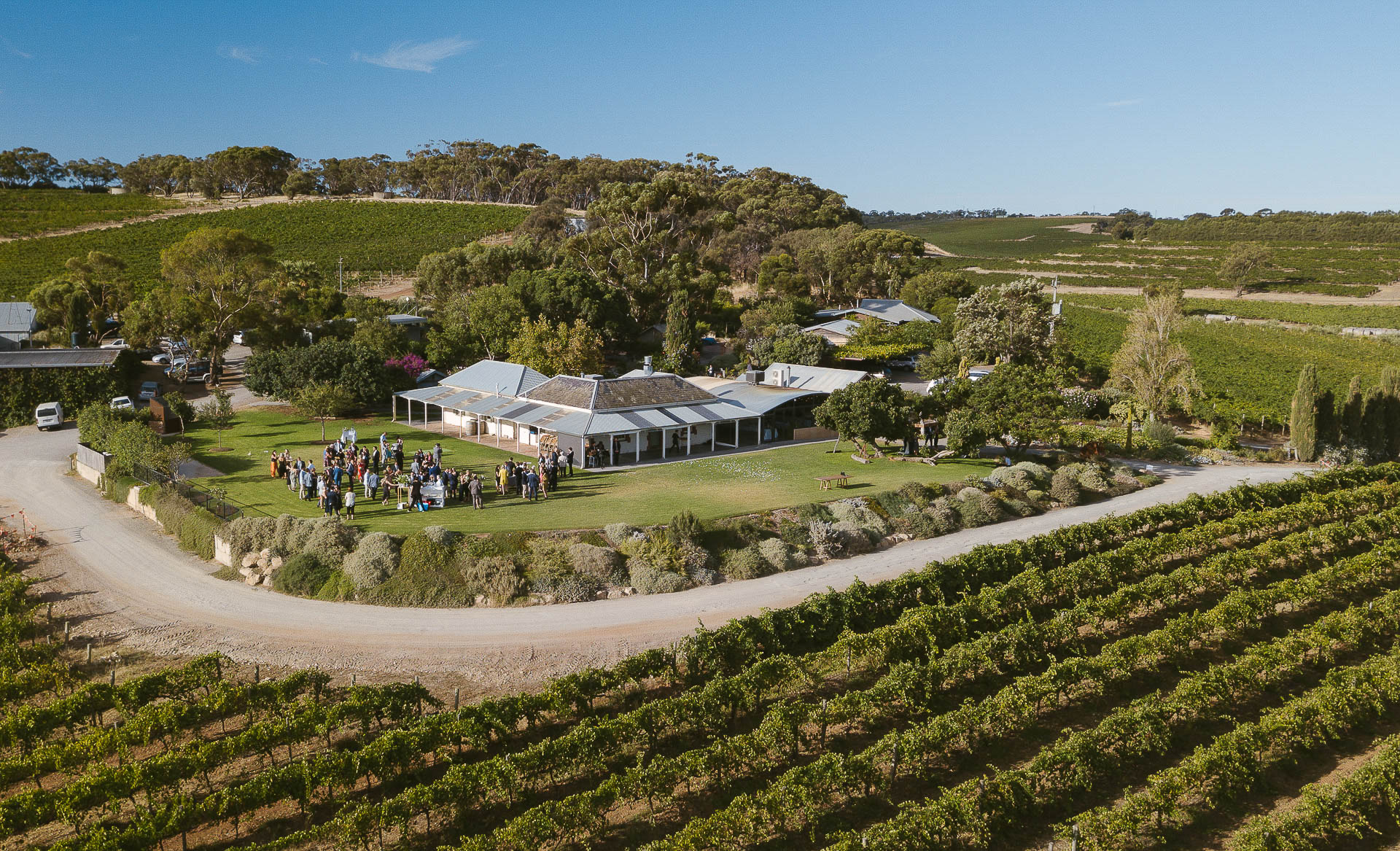 coriole vineyards winery wedding venue
