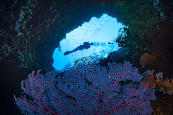 Matty Smith The Solomon Islands 2019