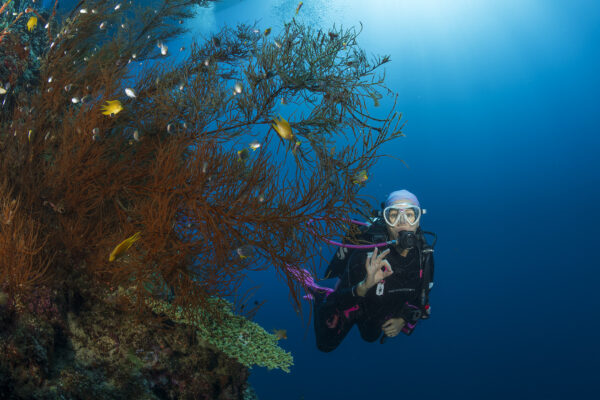 20250702_Jaynes_Gully_0003