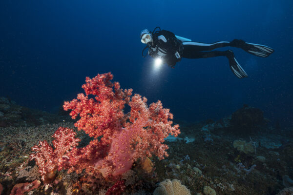 20250704_Horseshoe_0007