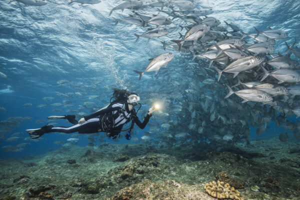 Ben's Point, Mary Island, The Solomon Islands
