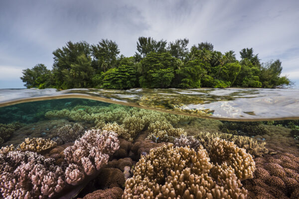 Papua New guinea, Lissenungi, Kavieng