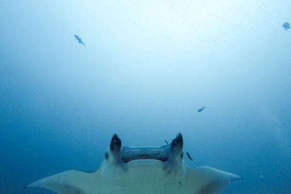 Luxury Travel Photography by Luke Simon