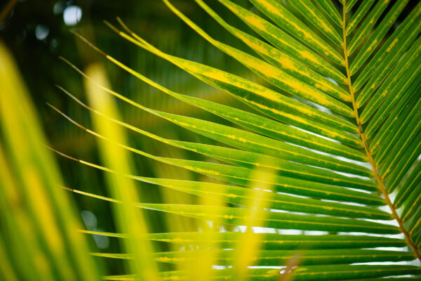 Luxury Travel Photography by Luke Simon