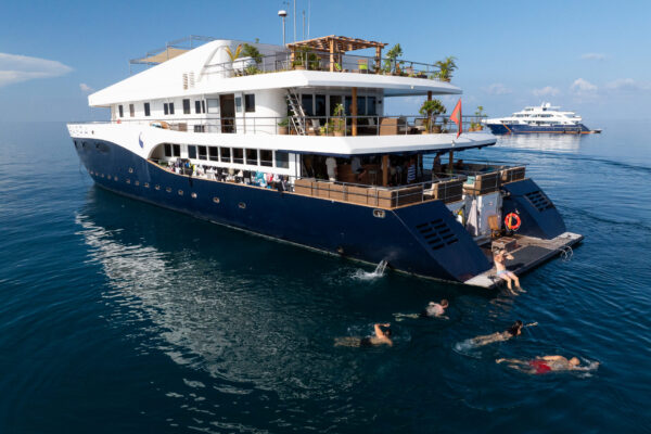 Corporate attendees swimming and cooling off between conference session on luxury liveaboard