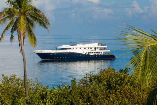 View through the palm trees of Scubaspa yacht cruising through the Indian Ocean