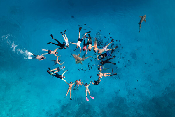 Snorkelling with Grey Nurse Sharks between presentations on Scubaspa for Dental conference